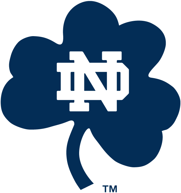 Notre Dame Fighting Irish 1994-Pres Alternate Logo t shirts DIY iron ons v8